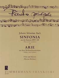 Sinfonia - und Arie aus dem Weihnachtsoratorium BWV 248 Schlafe, mein Liebster - příčná flétna a klavír