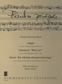 Adagio aus dem Osteroratorium BWV 249 - příčná flétna a klavír