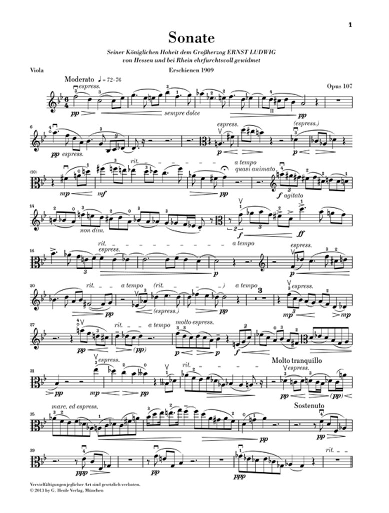 Clarinet Sonata op. 107 - pro violu a klavír