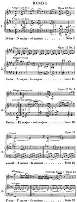 Sonata For Violin And Piano Volume 1 - Violin Sonatas, Volume I