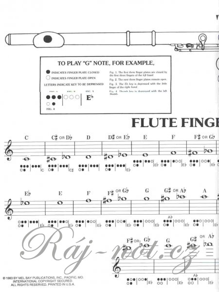 Flute Fingering Chart prstoklady pro příčnou flétnu