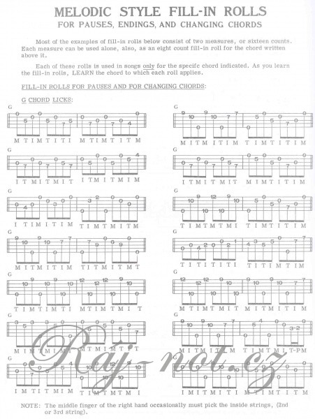 Janet Davis: Splitting The Licks 5 String Banjo