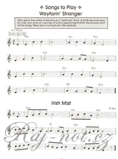 You Can Teach Yourself Recorder