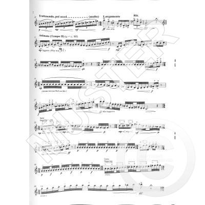 Concert Etude For Solo Horn