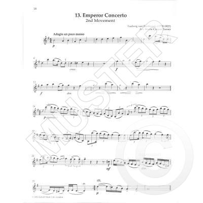 The Violin Playlist - 50 Popular Classics in Easy Arrangements