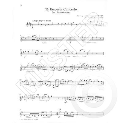 The Violin Playlist - 50 Popular Classics in Easy Arrangements