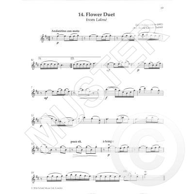 The Violin Playlist - 50 Popular Classics in Easy Arrangements