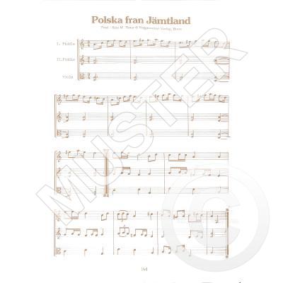 Das Grosse Fiddlebuch + CD skladby pro housle