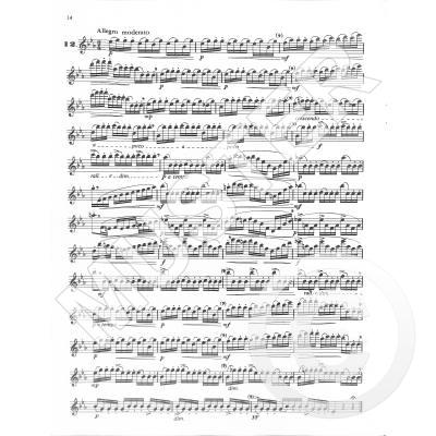 The Flautist's Progress Op.33 Book 1 - Lusterweckende Übungen - 15 leichte Übungsstücke