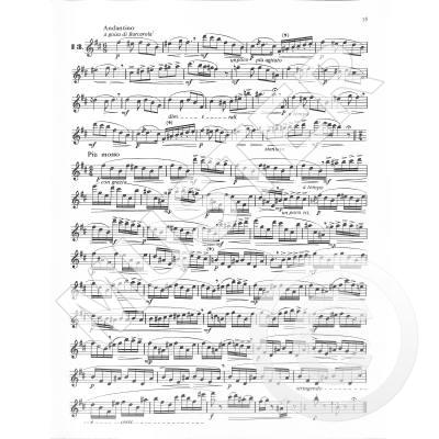 The Flautist's Progress Op.33 Book 1 - Lusterweckende Übungen - 15 leichte Übungsstücke
