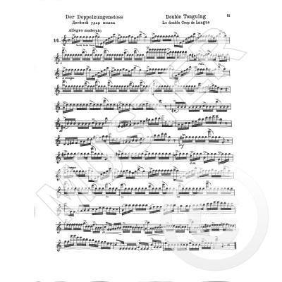 25 Romantische Etuden pro příčnou flétnu op. 66