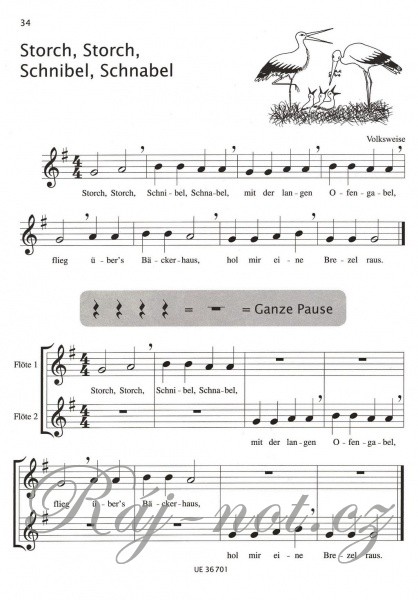 Mini Magic Flute 1 - škola hry na příčnou flétnu