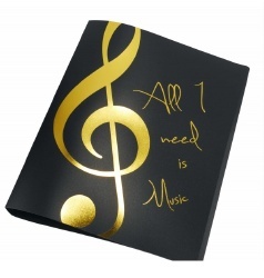 Papírová složka zlatá barva - All I need is music