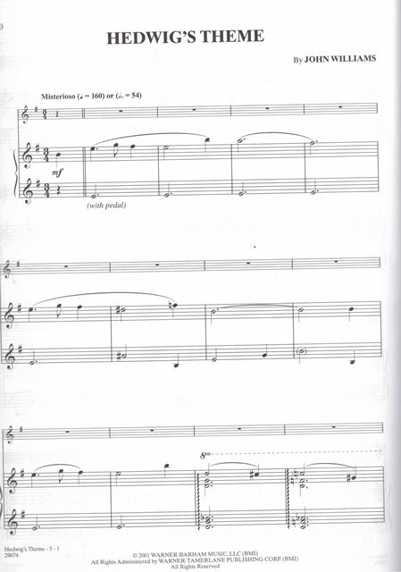 HARRY POTTER - 10 nejznámějších a nejkrásnějších melodií pro housle