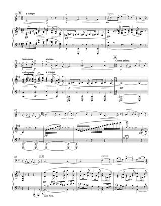 Concerto - e minor pro violoncello a klavír