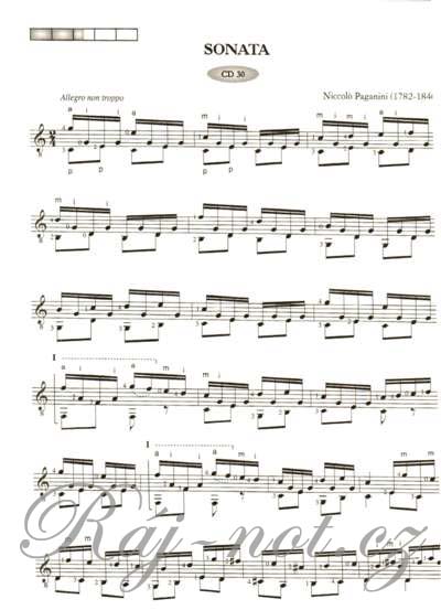 Saitenwege 2 + CD - Der Leichte Einstieg - in die Welt der klassischen Gitarre
