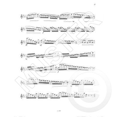 Ausgewählte Etüden für Flöte III - Selected Studies for Flute 3
