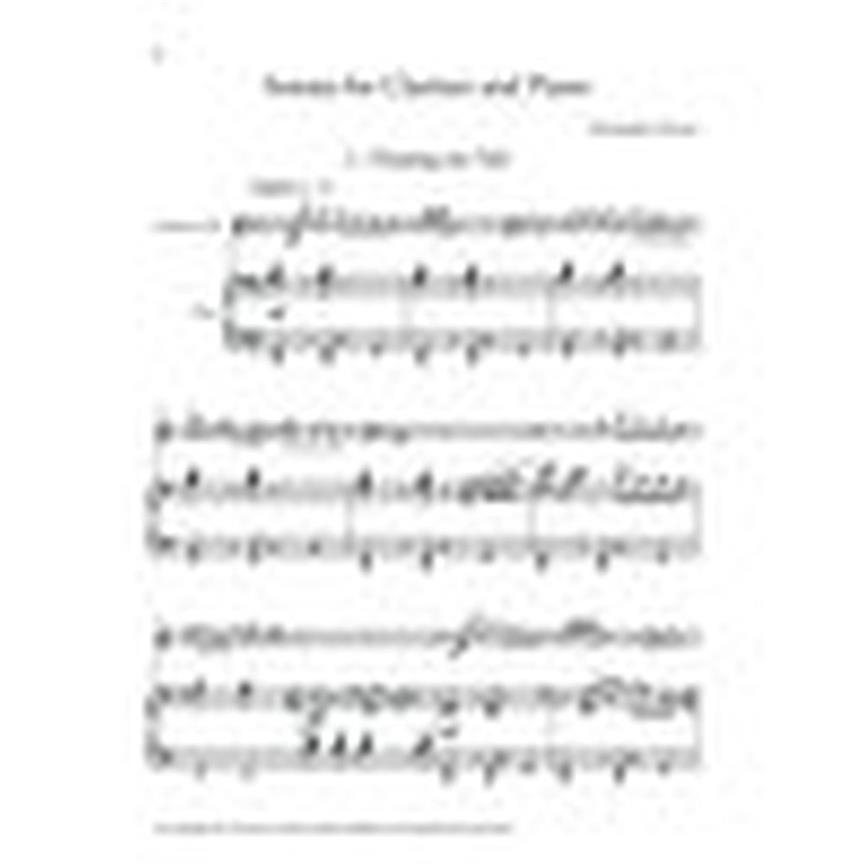 Sonata For Clarinet And Piano - klarinet a klavír