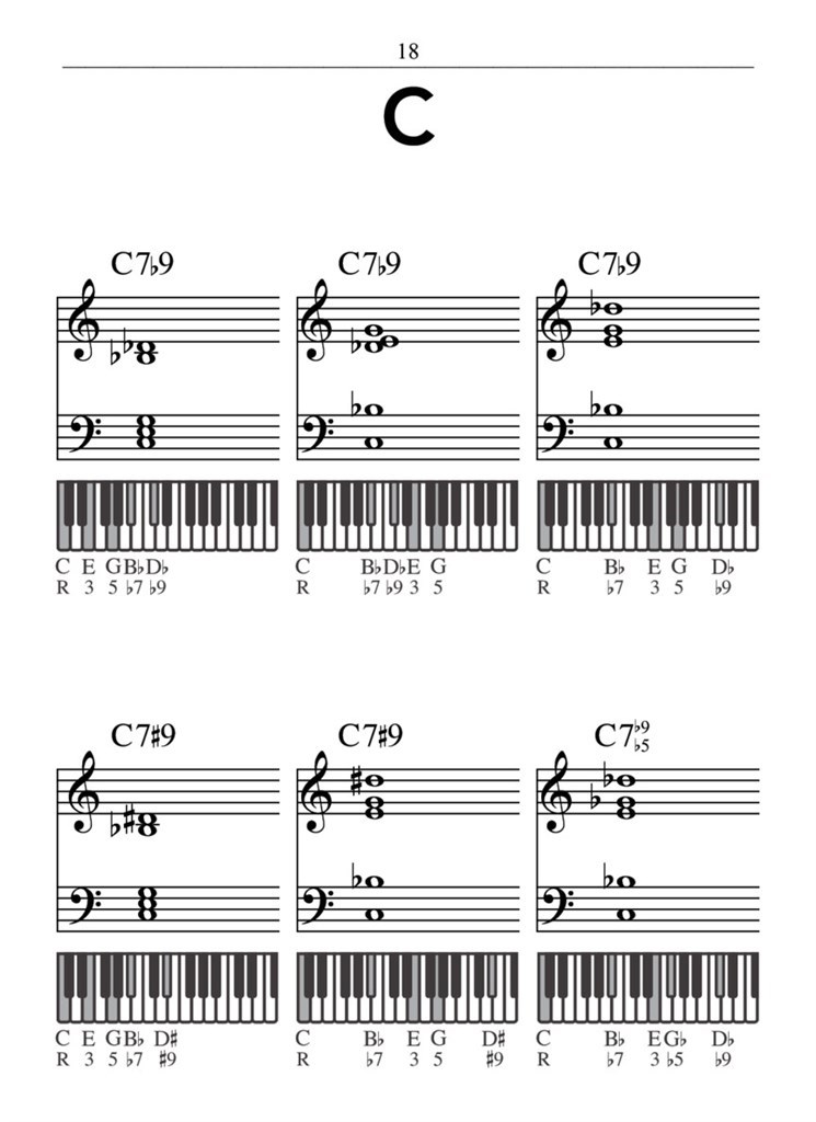 Hal Leonard - kapesní klavírní akordový slovník - referenční příručka pro klavír