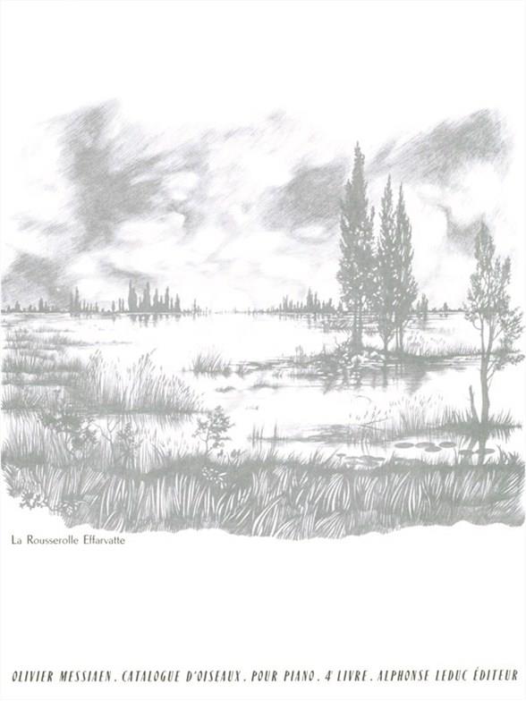 The Bird Catalogue - Vol. 4 - The Reed Warbler - noty pro klavír