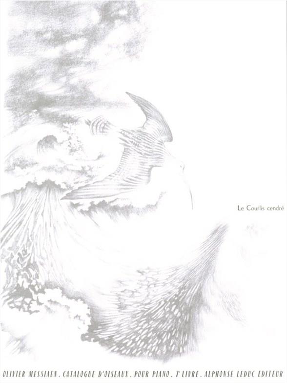 The Bird Catalogue - Vol. 7 - The Buzzard, The Black Wheatear and the Curlew - noty pro klavír