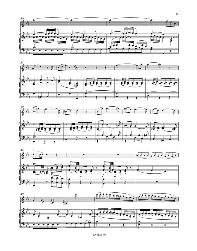 Violin Concerto No.1 in B-flat major K.207 - pro housle