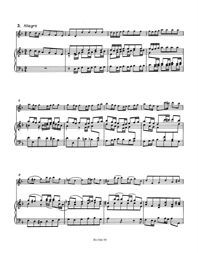 Violin Concerto In D Minor - housle a klavír