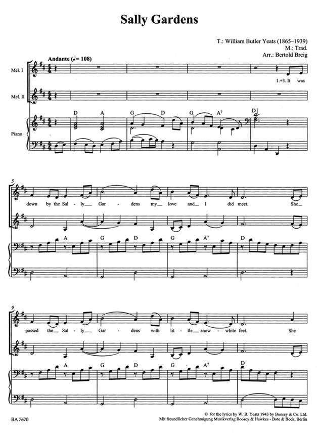 Irish (ComboCom) - noty pro soubory nástrojů