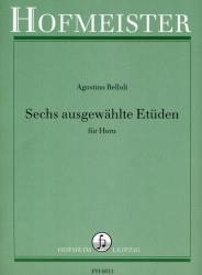 6 ausgewählte Etüden - na lesní roh