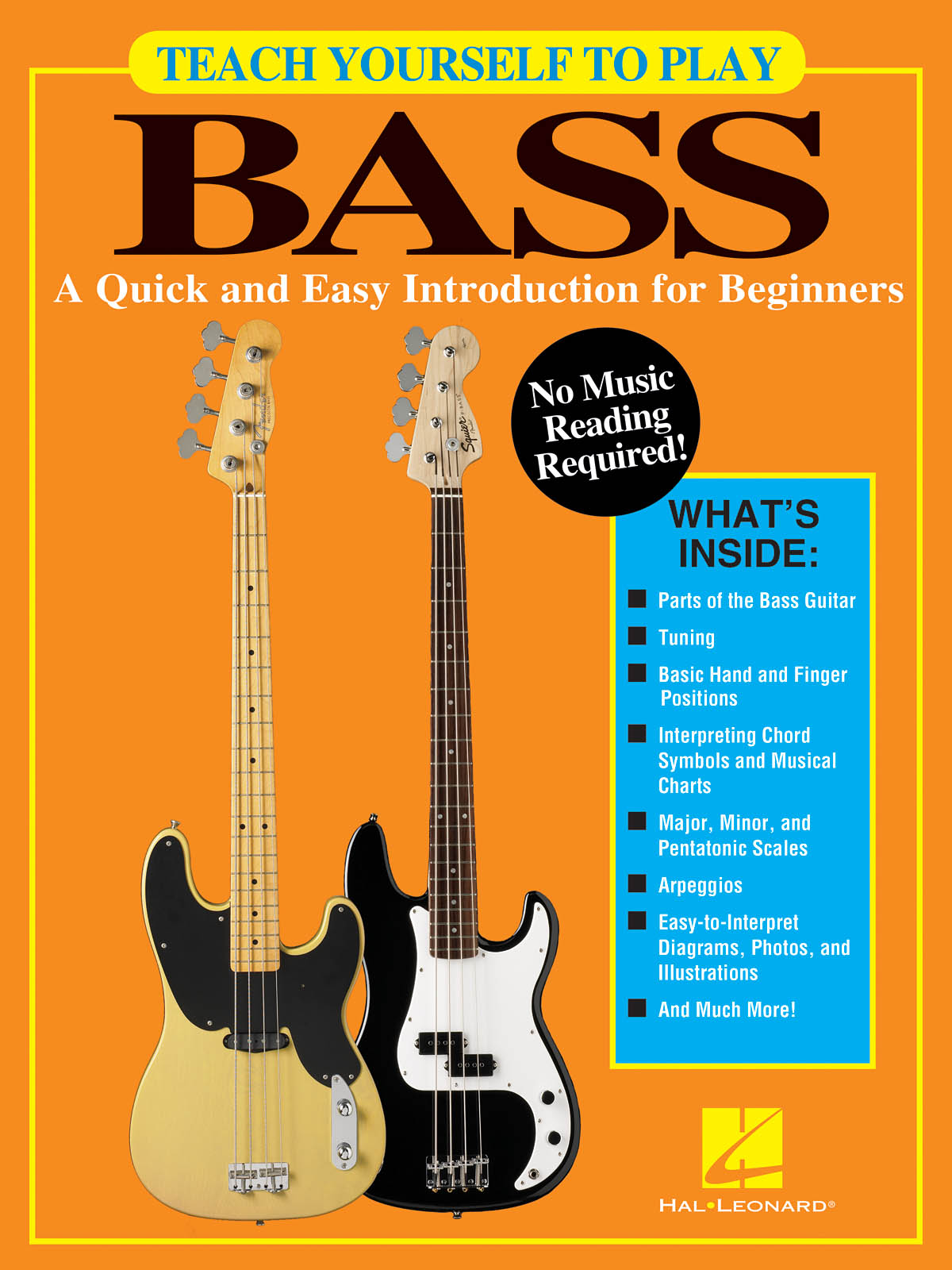 Teach Yourself to Play Bass - A Quick and Easy Introduction for Beginners - pro basovou kytaru