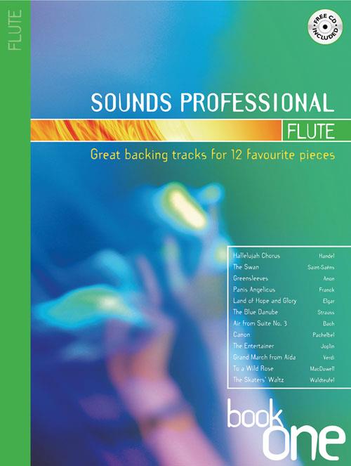 Sounds Professional - Flute - Great backing tracks for 12 favourite pieces - příčná flétna